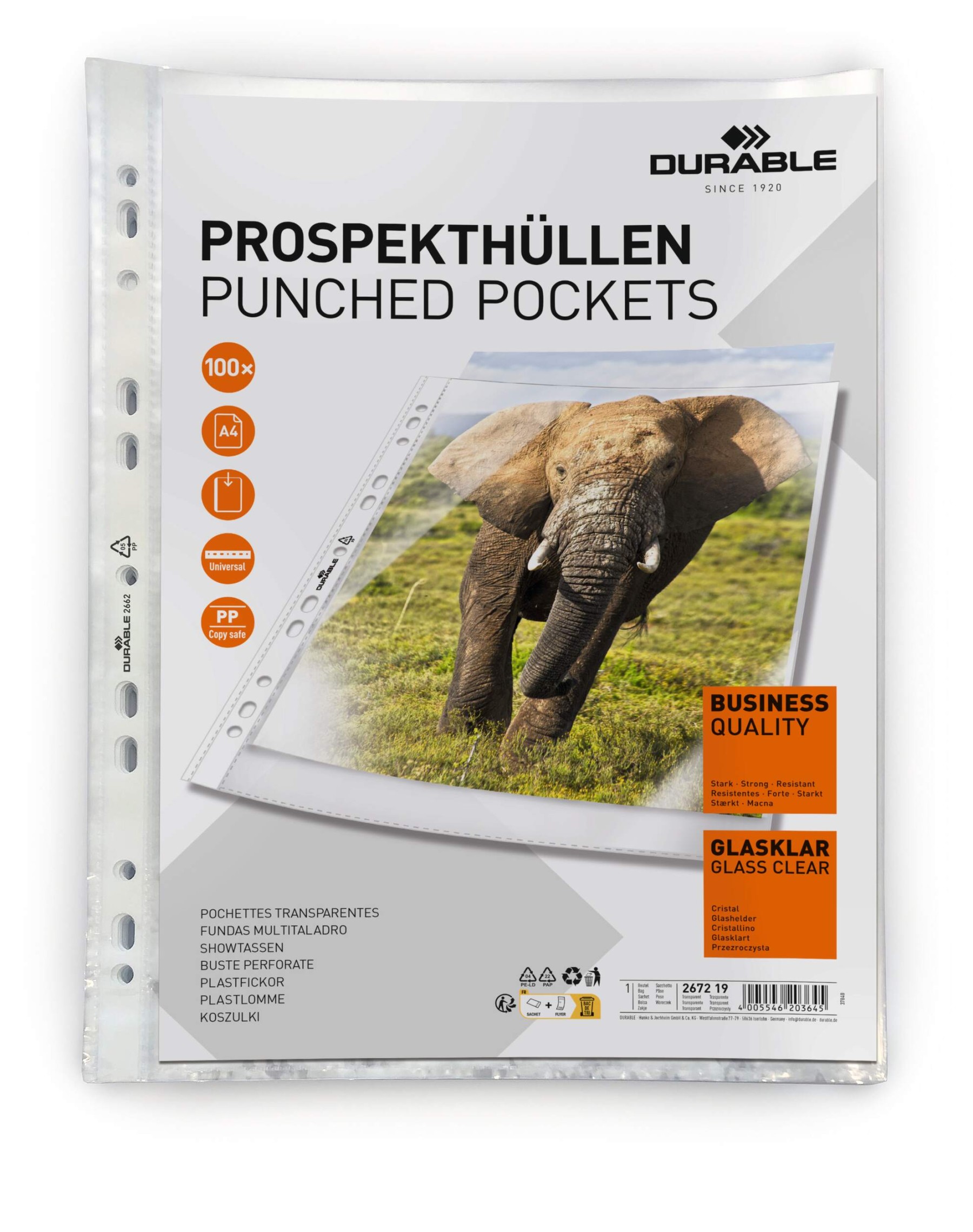 Durable BUSINESS Punched Pockets Sleeve Wallets | 100 Pack | A4 Clear
