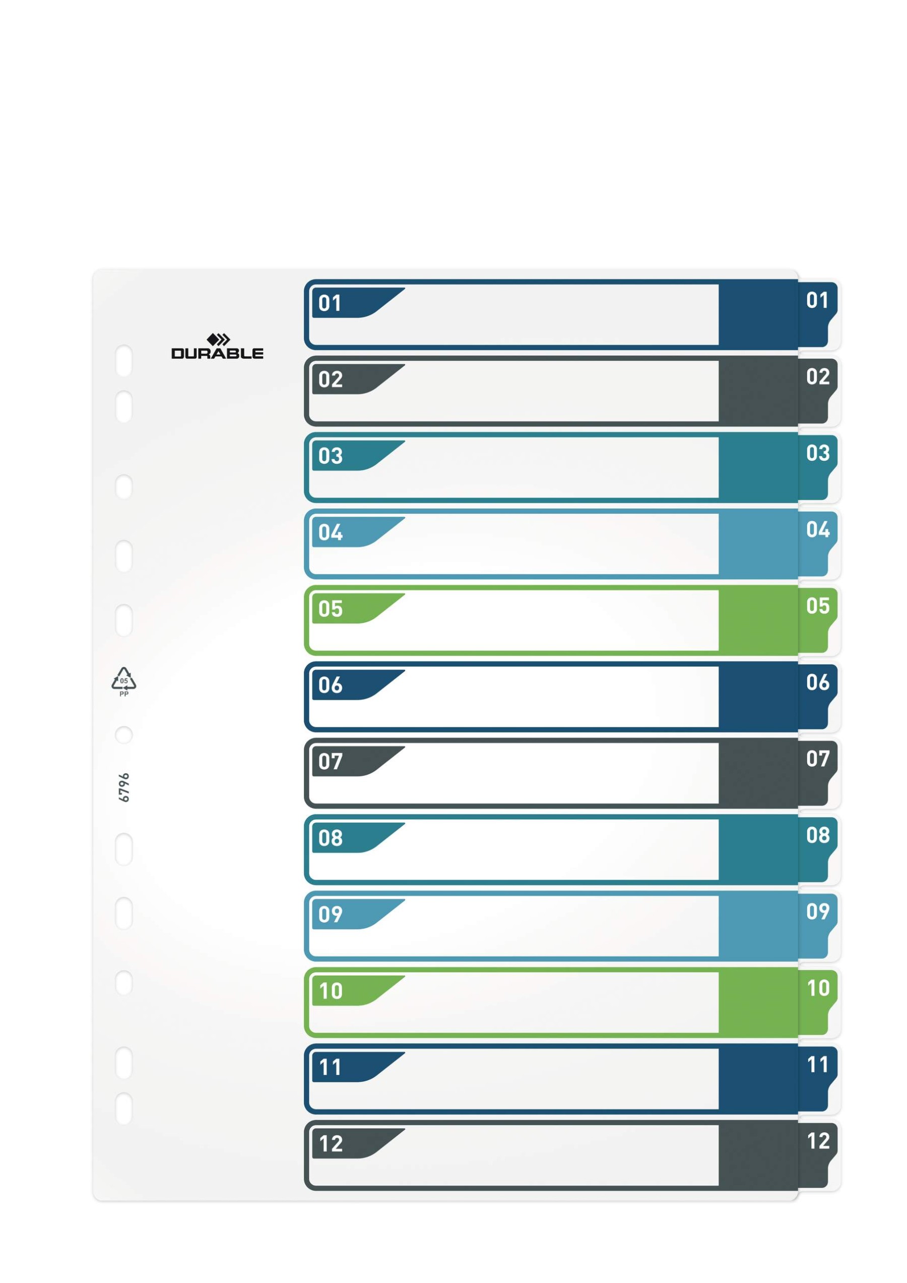 Durable 12 Part Numbered Tab Punched Index Dividers + Cover | A4+ | Colour Coded